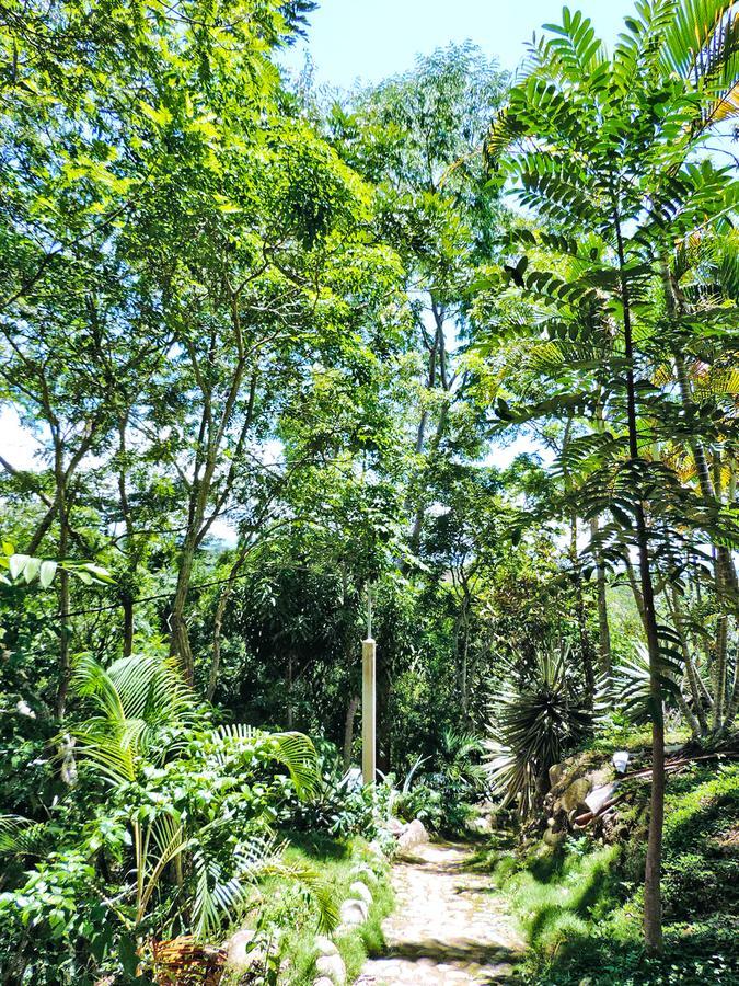 Villa Yacumaman Sanctuary Tarapoto Exterior foto