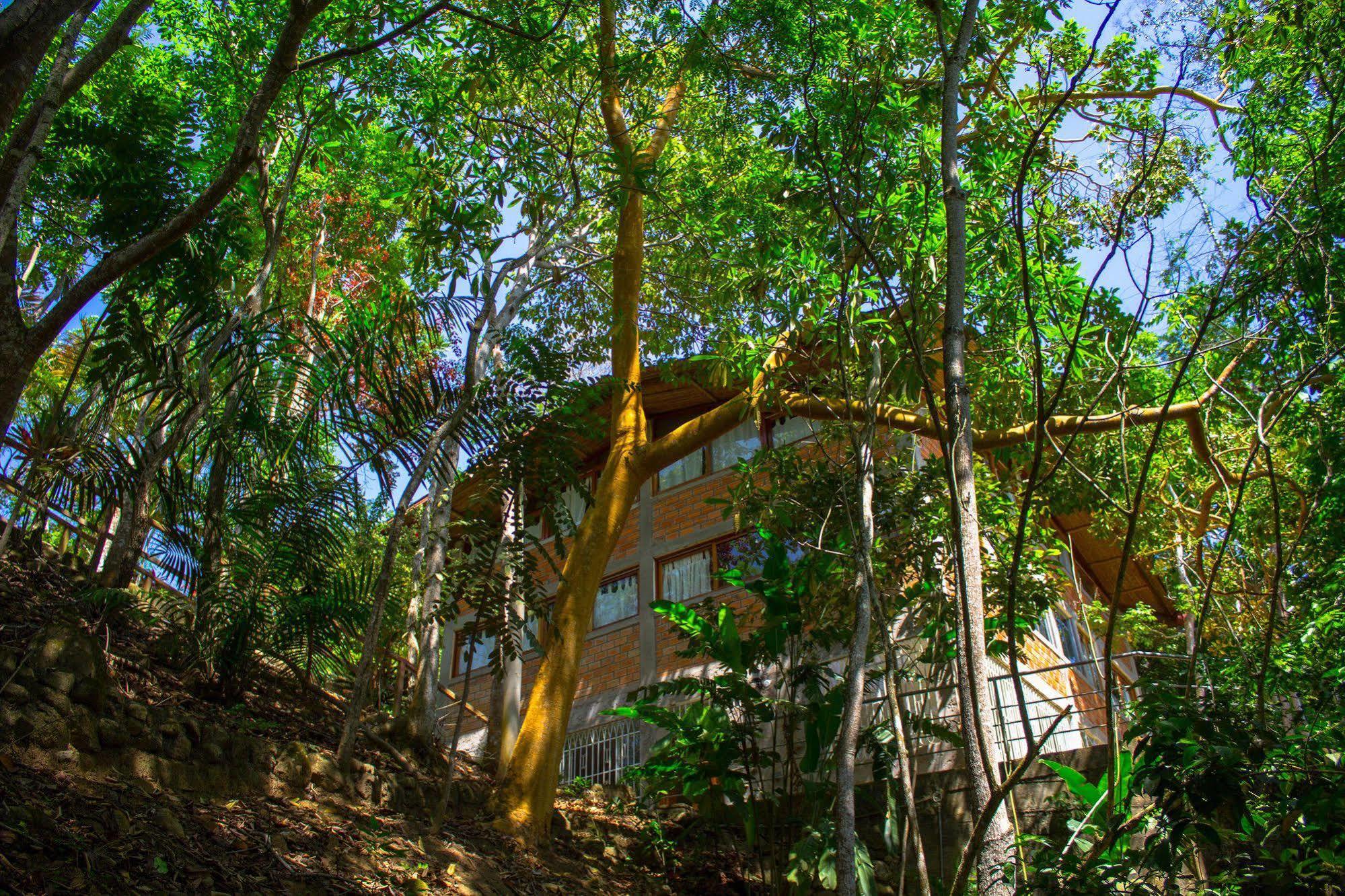 Villa Yacumaman Sanctuary Tarapoto Exterior foto